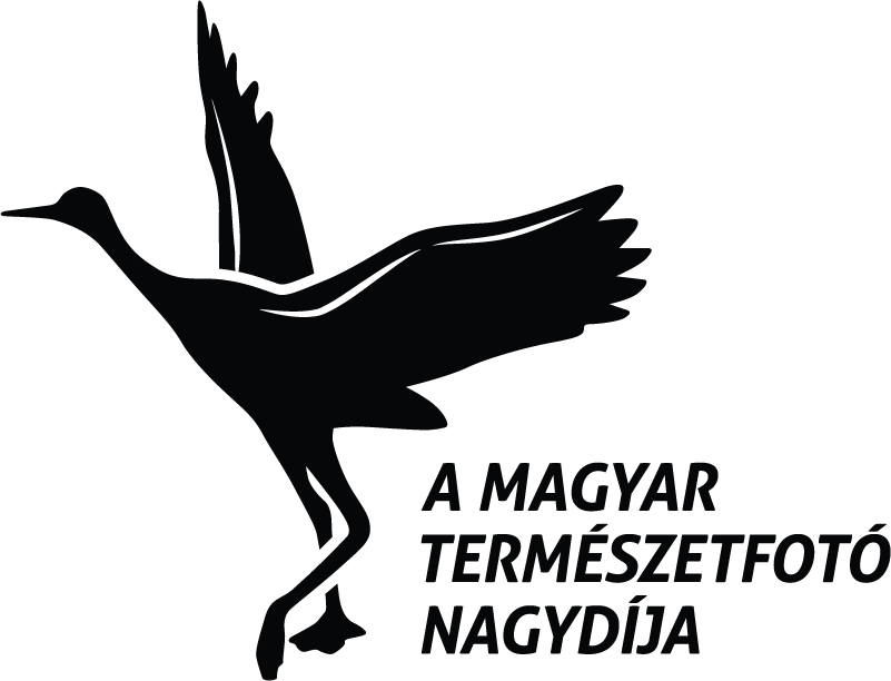 VM logo